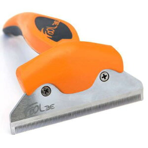 AEgbgi@t[[@pn@L@󂠂@֓