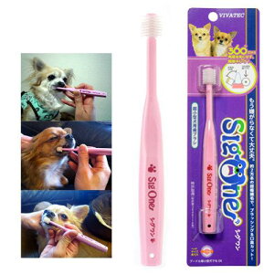 roebN@VO@^puV@@f^PA@֓