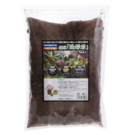 ピクタ　極床　きわみどこ　造形君　4L　関東当日便