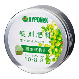 ハイポネックス　錠剤肥料シリーズ　観葉植物用　約70錠（N10・P8・K8）【HLS_DU】　関東当日便