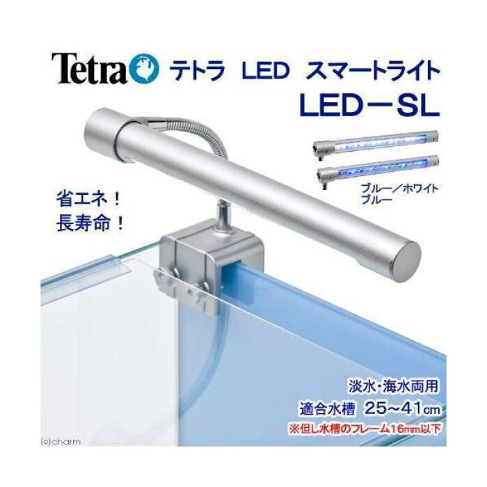 アウトレット品 テトラ Ledスマートライト Led Sl 小型水槽用照明 熱帯魚 水草 アクアリウムライト 訳あり 関東当日便 的詳細資料 日本商品代購 From Japan