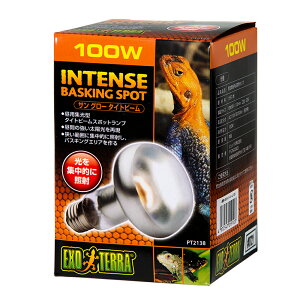 pW^@TO[@^Cgr[oXLO@X|bgv@100Wij2@঒ށ@ۉ@֓