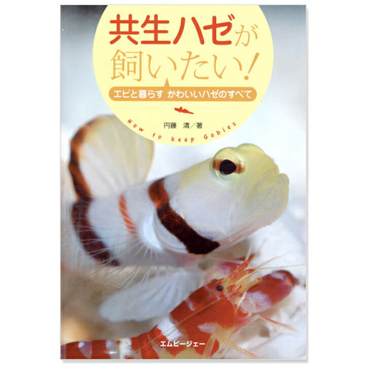 楽天市場 共生ハゼが飼いたい 書籍 関東当日便 Charm 楽天市場店