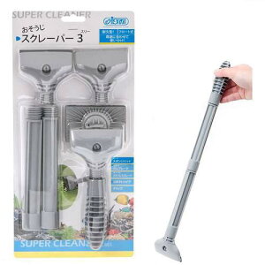 AY[@X[p[N[i[@XN[p[3@@|@֓