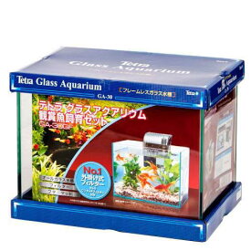 楽天市場 海水魚 飼育セットの通販