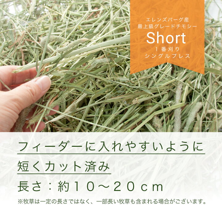 楽天市場】(観葉植物)スーパープレミアムホースチモシーショートチャック袋600g+ペットグラス 牧草 お一人様10点限り : charm 楽天市場店 楽天市場】(観葉植物)スーパープレミアムホースチモシーショートチャック袋600g+ペットグラス 牧草 お一人様10点限り : charm 楽天市場店