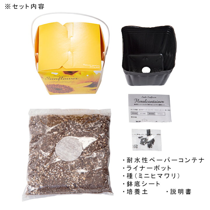 158円 新作 大人気 聖新陶芸 ミニヒマワリ栽培セット スマイルサンフラワー フローラルコンテナ 家庭菜園 キッチン菜園 室内園芸 158円 新作 大人気 聖新陶芸 ミニヒマワリ栽培セット スマイルサンフラワー フローラルコンテナ 家庭菜園 キッチン菜園 室内園芸