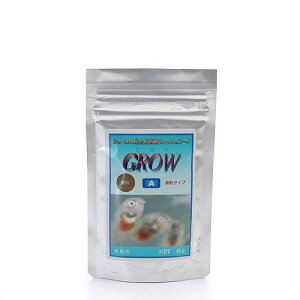 OE@Ai^Cvj@45g@t@Mы@a@t[h@nD@֓