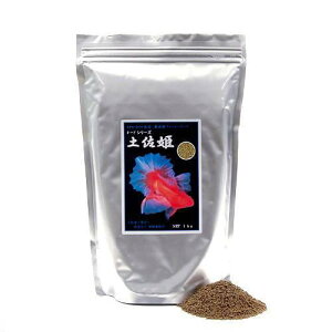 yP@Diybg^Cvj@1kg@̂@yь@a@t[h@nD@̉a@֓