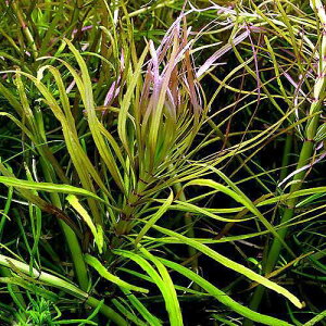 ijI_vg@u[hio[Xjitji_ji1{j