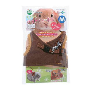 }J@̂炭炭xXgn[lX@M@@n[lX@[h@֓