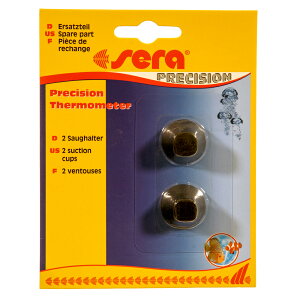 v@Z@LXS@xvp@2@v@֓