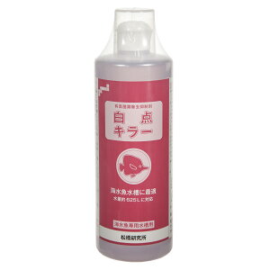 LQۗޏ}܁@_L[@Cpp@500ml@֓