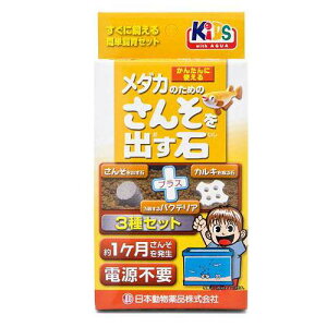 {i@j`hE@_Ĵ߂̂񂻂o΁@3@1^Cv@JL΁@oNeAt@֓