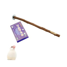 川井　ニームパーチ　SS　関東当日便