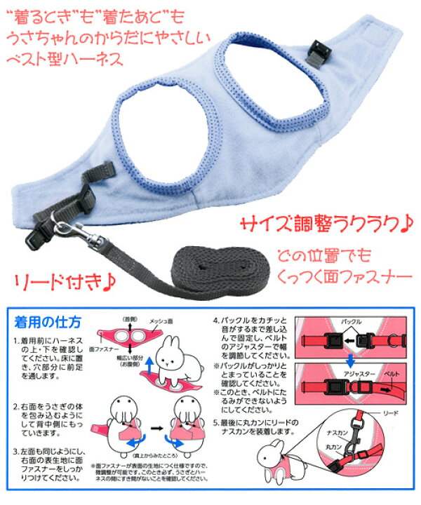フェレちゃんのうきうきハーネス ブルー Marukan Mw 30b