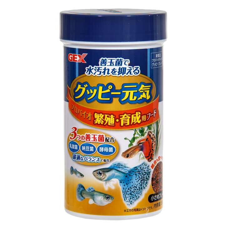 楽天市場 gex グッピー元気 プロバイオ繁殖 育成用フード 52g 関東当日便 Charm 楽天市場店 楽天市場 gex グッピー元気 プロバイオ繁殖 育成用フード 52g 関東当日便 Charm 楽天市場店