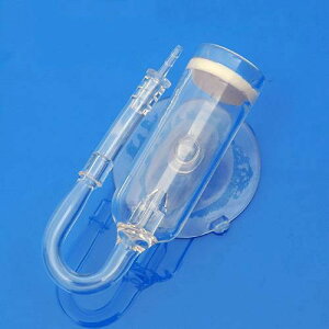 CO2gU@ouJEgfBt[U[S@3mm`[uڑp@֓