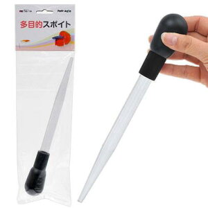 J~n^@ړIX|Cg@X|Cg@֓