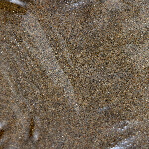 ꍻ@NoD109@N̍@X[p[pE_[@3bg@Spring@Water@ꏰ@@ll4_@֓