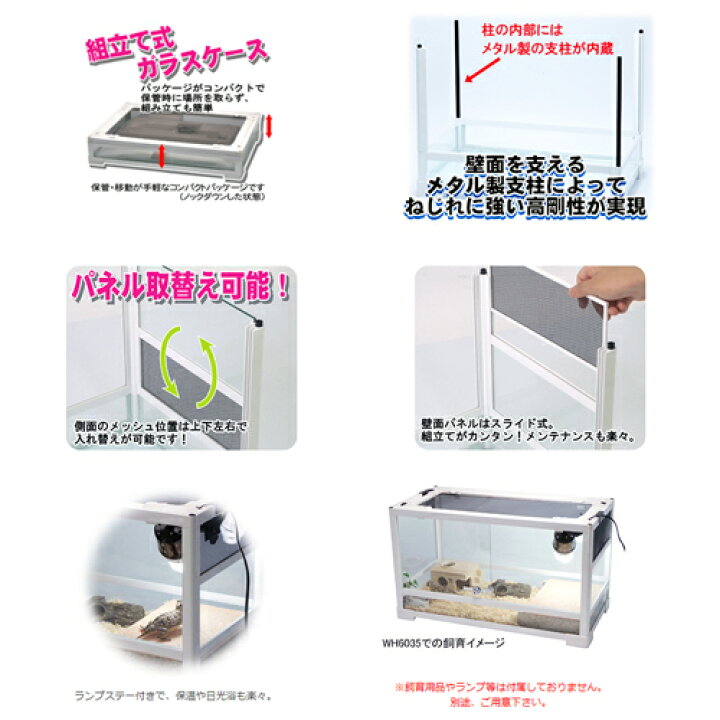 楽天市場】爬虫類ケージ 三晃商会 パンテオン ホワイト WH4045 