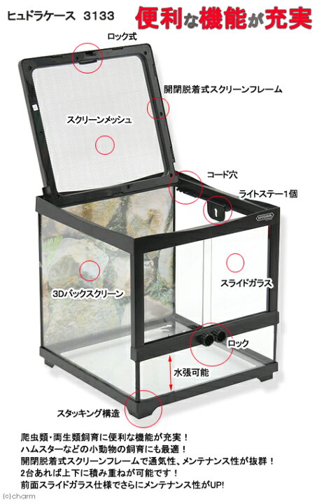 楽天市場 コトブキ工芸 ヒュドラケース ３１３３ ３１０ ３０４ ３３０ｍｍ 爬虫類 飼育 寿工芸 ガラスケージ お一人様２点限り 沖縄別途送料 関東当日便 Charm 楽天市場店