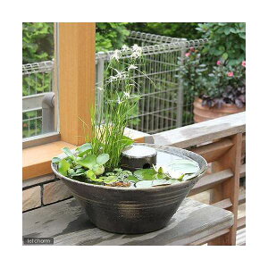 irIg[vjvqčʌÐMyY_JBƖrIg[vZbgiPXCq_Jj@{Bl