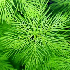 ij~ItB@}gObZZitji_ji5{j