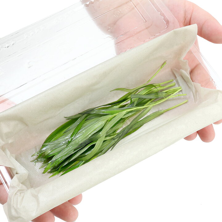 楽天市場】（水草）ヘテランテラ（水中葉）（無農薬）（10本 