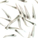 楽天市場 観賞魚 種 観賞魚 メダカ 人気ランキング1位 売れ筋商品