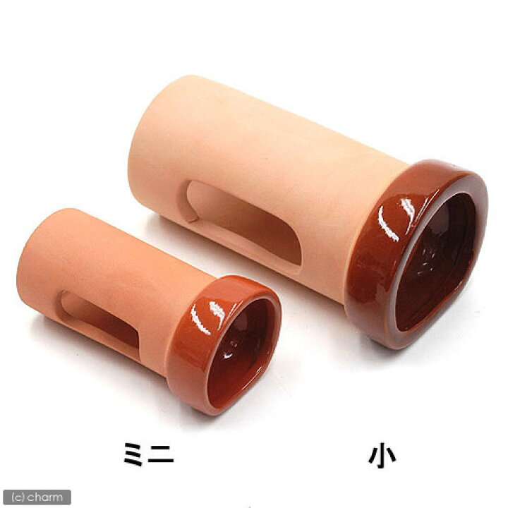 楽天市場 スドー 土管 ミニ ｅ ２５ 水槽用オブジェ アクアリウム用品 関東当日便 Charm 楽天市場店
