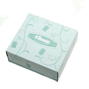 �N���l�b�N�X�@�e�B�V���[�@�n�[�t�@100W�@1�^2�J�b�g�@�e�B�b�V���@�֓�������