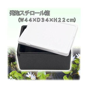styrofoam cones 24 inch  JChere Japanese Proxy Service