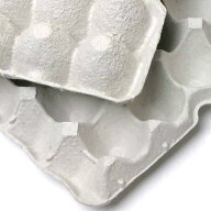 紙製卵トレー　45×29cm　10枚セット　昆虫　コオロギ　飼育　ハウス　ケース　お一人様3点限り　関東当…