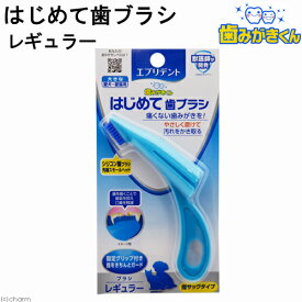 アース・ペット　エブリデント　歯みがきくん　はじめて歯ブラシ　レギュラー　関東当日便