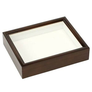 バードウィング製 ドイツ型標本箱 BWミニ (幅25×奥行き20×高さ5.5cm) 昆虫 蝶 甲虫 標本ケース 関東当日便