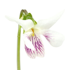 iR쑐jX~i俁jjCX~ic{X~@@俁@俁j2D5`3i1|bgjixԁj