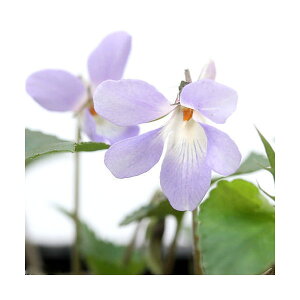 iR쑐jX~i俁j^`c{X~i俁j2D5`3@i1|bgjixԁj