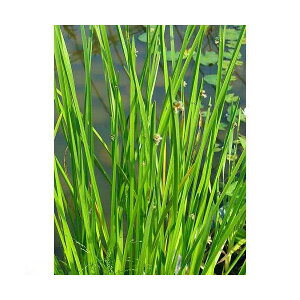 iR쑐jJKCi1|bgjixԁj