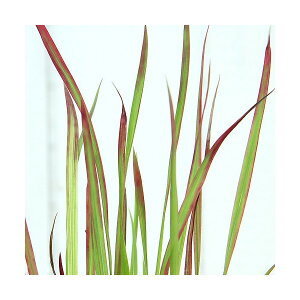 iR쑐jg`Kigji1|bgjixԁj