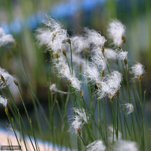 iR쑐jq^XQiP侁ji1|bgjixԁj