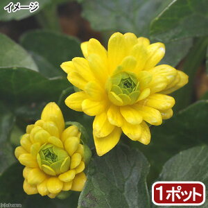 iR쑐jinqELJ@d炫@3i1|bgjixԁj