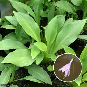 iR쑐jM{EVi[j@^`M{EVi[j@3i1|bgjixԁj