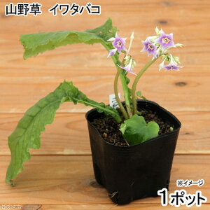 iR쑐jC^oRi≌j@3i1|bgjixԁj