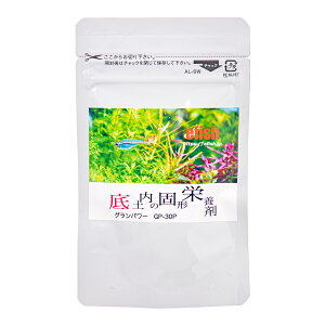 GtBbV@Op[@y̌Ō`h{܁@30mL@GP|30P@p@֓