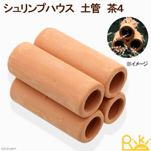 VvnEX@yǁ@4@r[VvpVF^[@֓