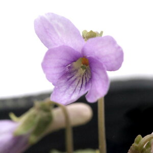 iR쑐jX~i俁jRX~i俁j2D5`3i1|bgjixԁj