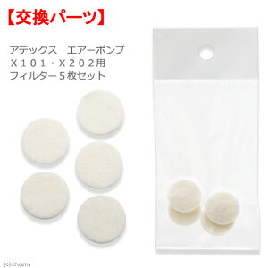 AfbNX@GA[|v@X101EX202ptB^[@5Zbg@p[c@֓