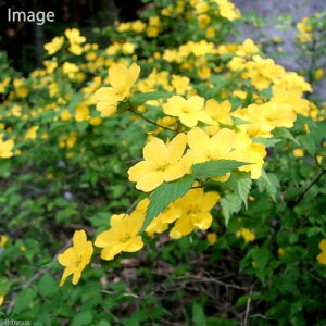 iR쑐j~́@}uLiR@j@3`4i1|bgjixԁj