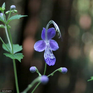 iR쑐jJKl\Ei呐@j@3i1|bgjixԁj